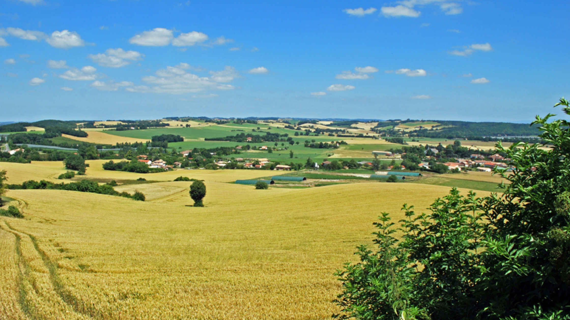 CC Tarn-Agout - SCoT du Vaurais