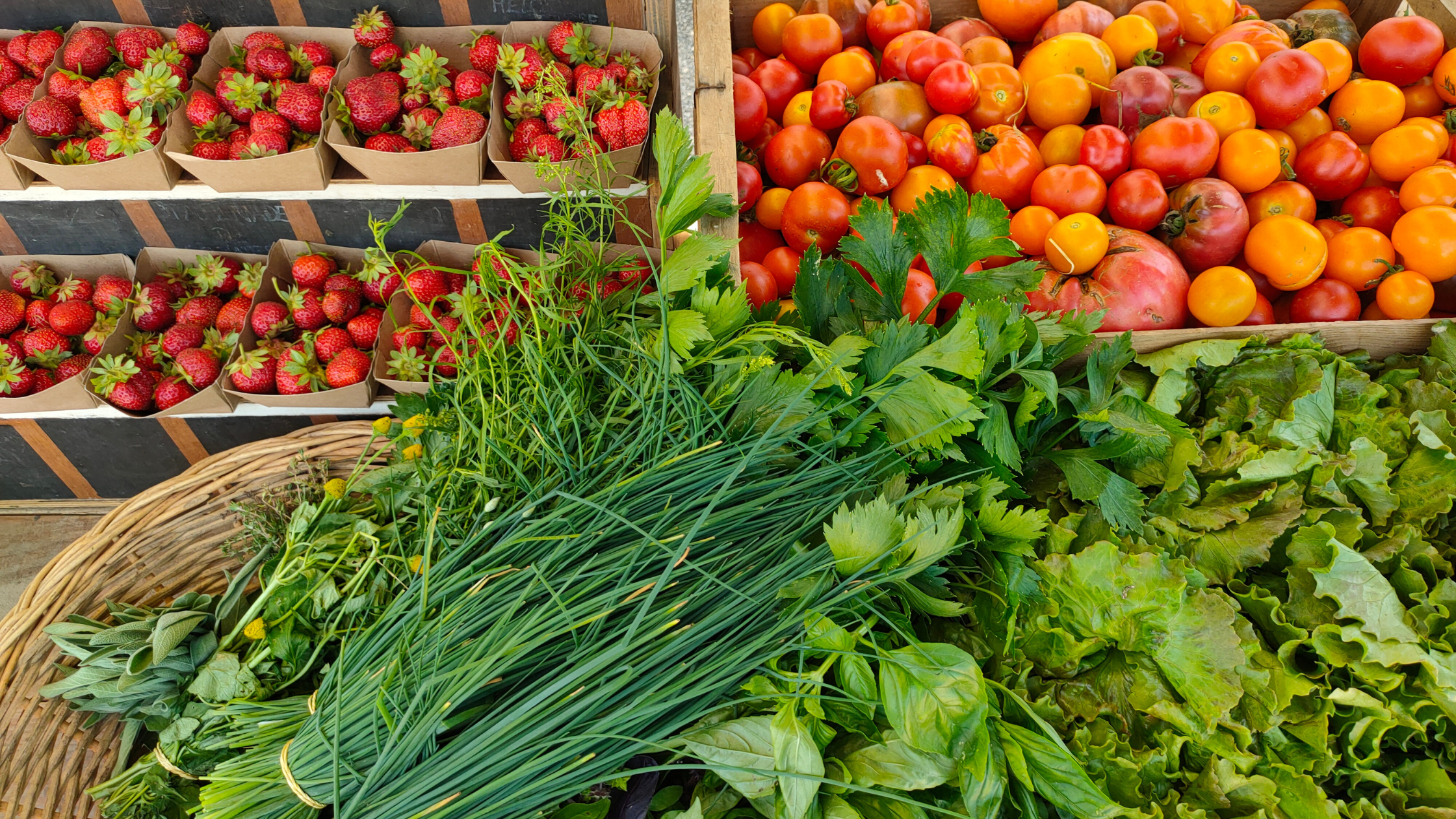 Manger local - Les producteurs locaux en Tarn-Agout